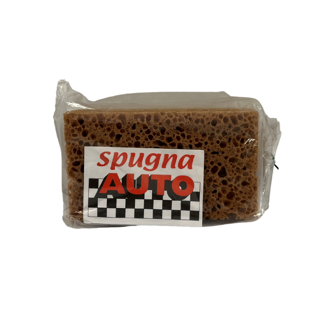 Pesusieni Spugna